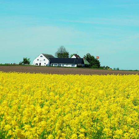 Vallebergaslätt Löderup Exteriör bild