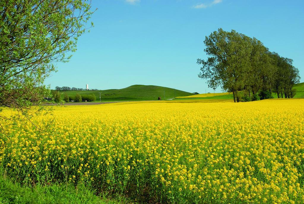 Vallebergaslätt Löderup Exteriör bild