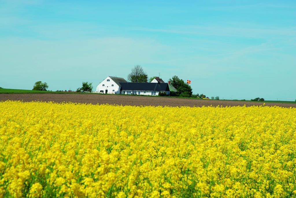 Vallebergaslätt Löderup Exteriör bild